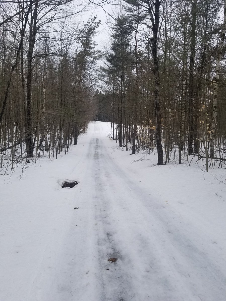 77kingofthereds's tweet image. Well Today&apos;s Trip To The Ponty Pool Property For A &quot;Spring&quot; Hike Was A Little More Snow Filled Than I Thought....Did See Lots Of Wild Turkeys, Its Ok There Were Less Than 50....So Isolation Wasn&apos;t An Issue.....
#MarchBreakFun