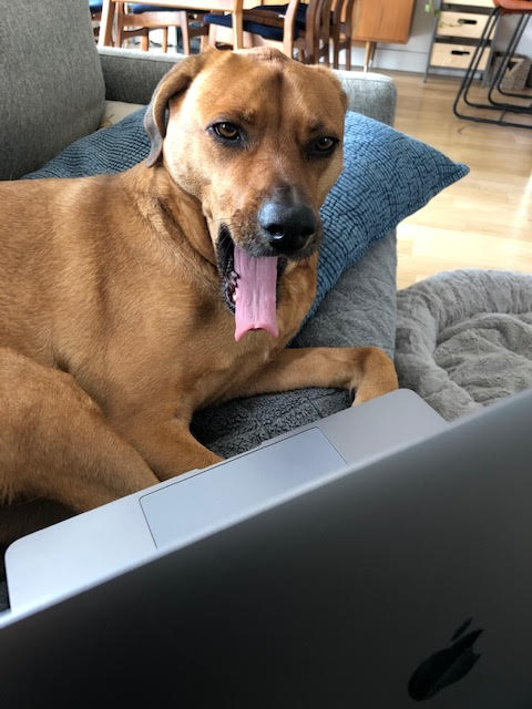 trueX's tweet photo. Kevin is exhausted from all the work that his dad, East Coast sales VP @AKDawson, is making him do. Dawson, consider starting happy hour early for Kevin. He could use it. https://t.co/EQ7XbefMFz