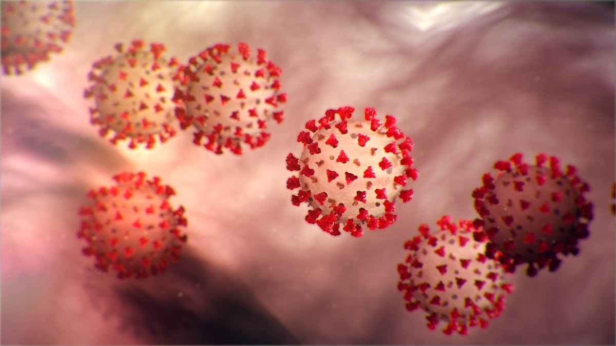 CDCgov's tweet photo. Interested in receiving a weekly email with updates on #COVID19? The novel #coronavirus situation is rapidly evolving. Sign up for automatic weekly updates: https://t.co/MzxaX5Ca8w. https://t.co/LBDSnqI7Mk