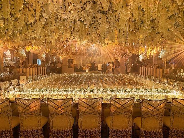 Chameleon Chair tweet media