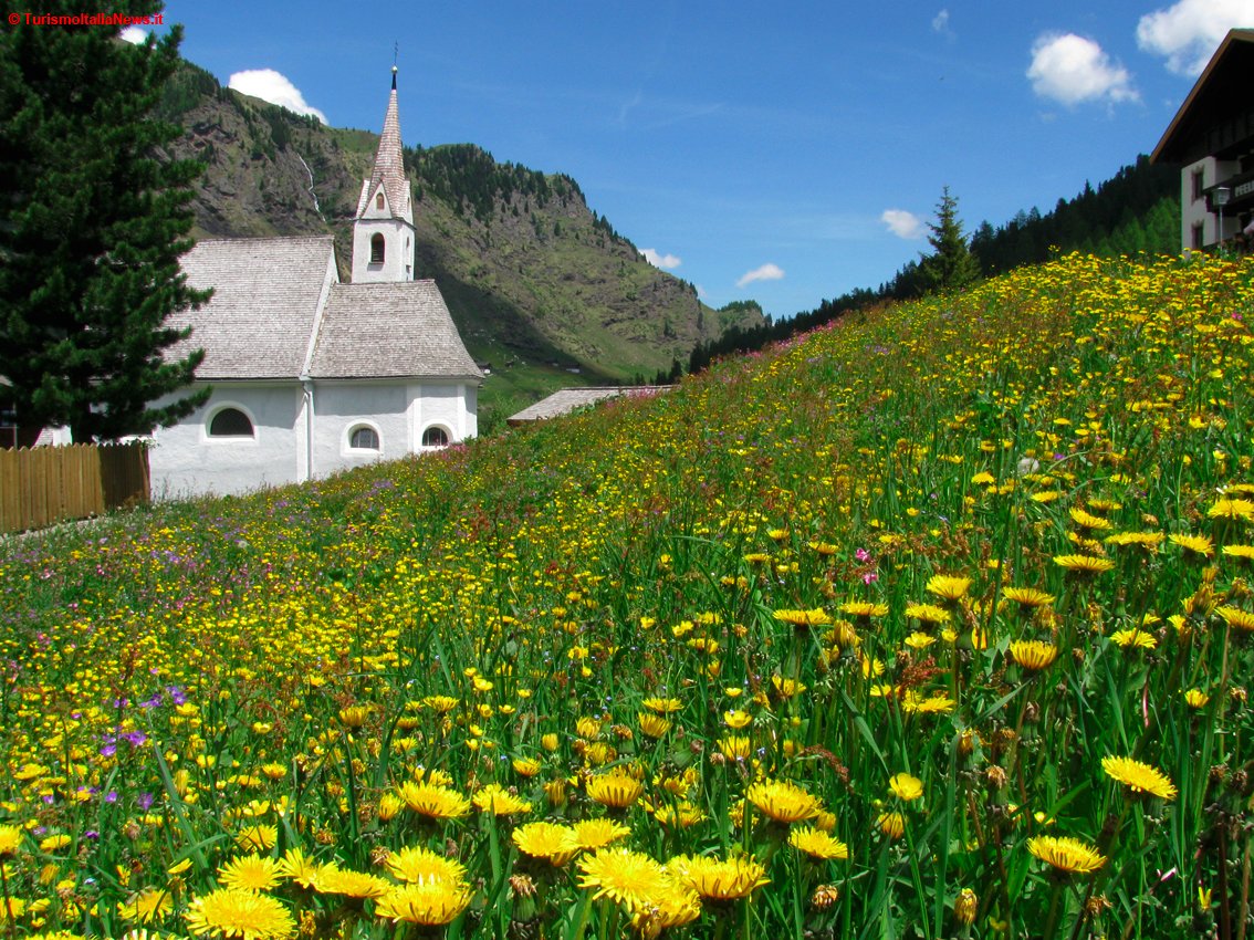 TurismoItaliaNw's tweet photo. Miscele con erbe selvatiche e aromatiche di qualità dell'Alto Adige: gli infusi dei contadini di Gallo Rosso aspettando primavera 
Leggi la notizia https://t.co/S5xL4W561H 

#AltoAdige #benessere #roterhahngallorosso #roterhahn #masigallorosso https://t.co/lCUXbdtJpa