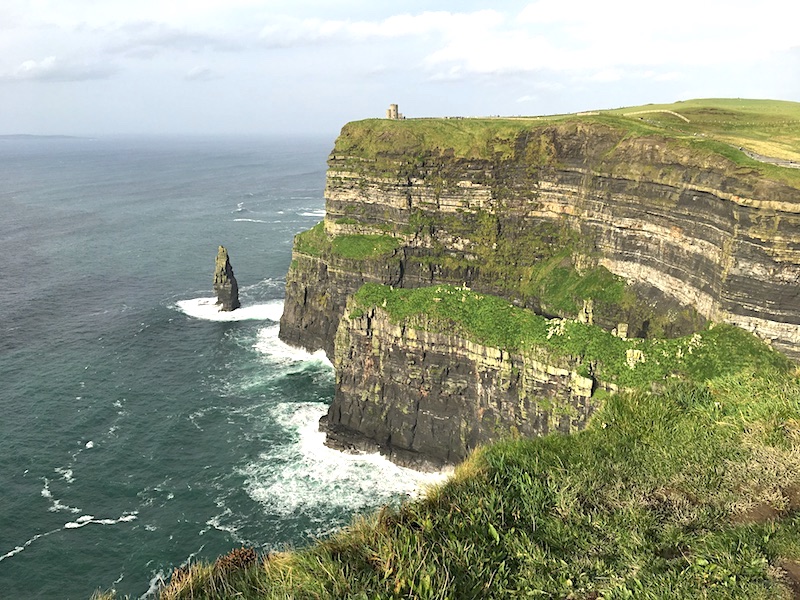 Rachel Olsen tweet media