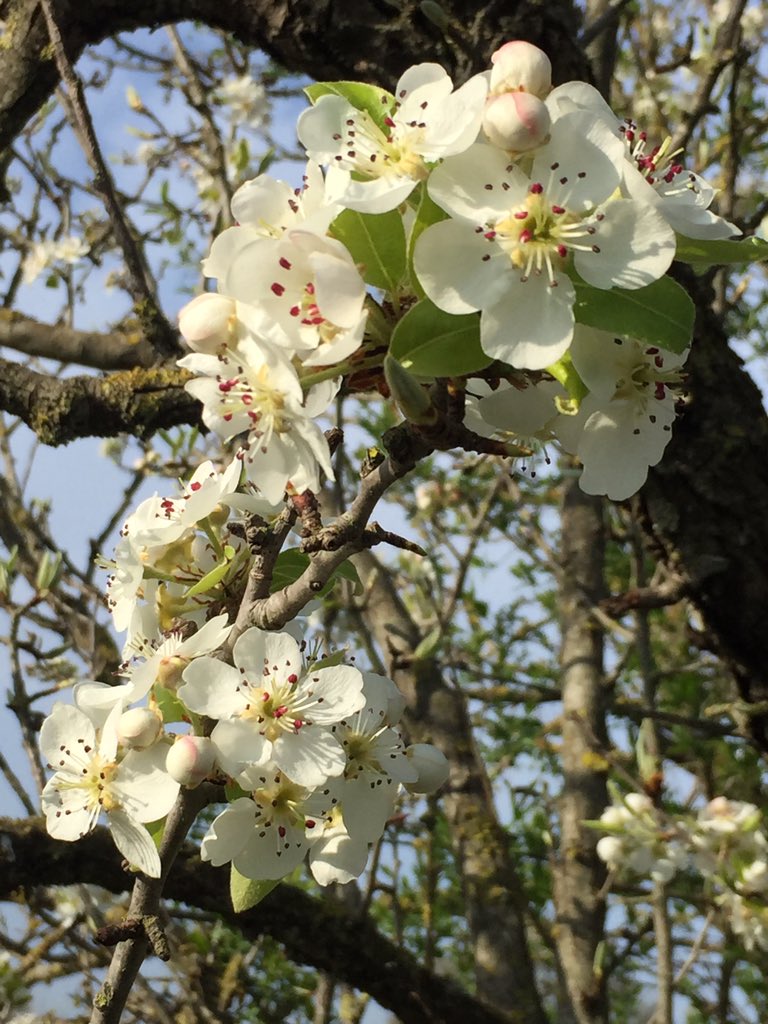 2849Dama's tweet photo. ... è troppo tardi
Per Toccarti... CARA?
....la "Natura" gode dei
Momenti che le hanno
insegnato a .... Gustare...
#Toccami https://t.co/7S827CZITZ