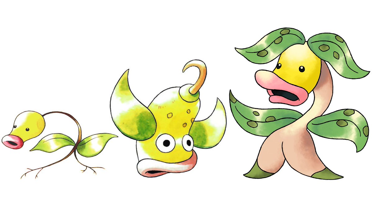 Weepinbell Evolution