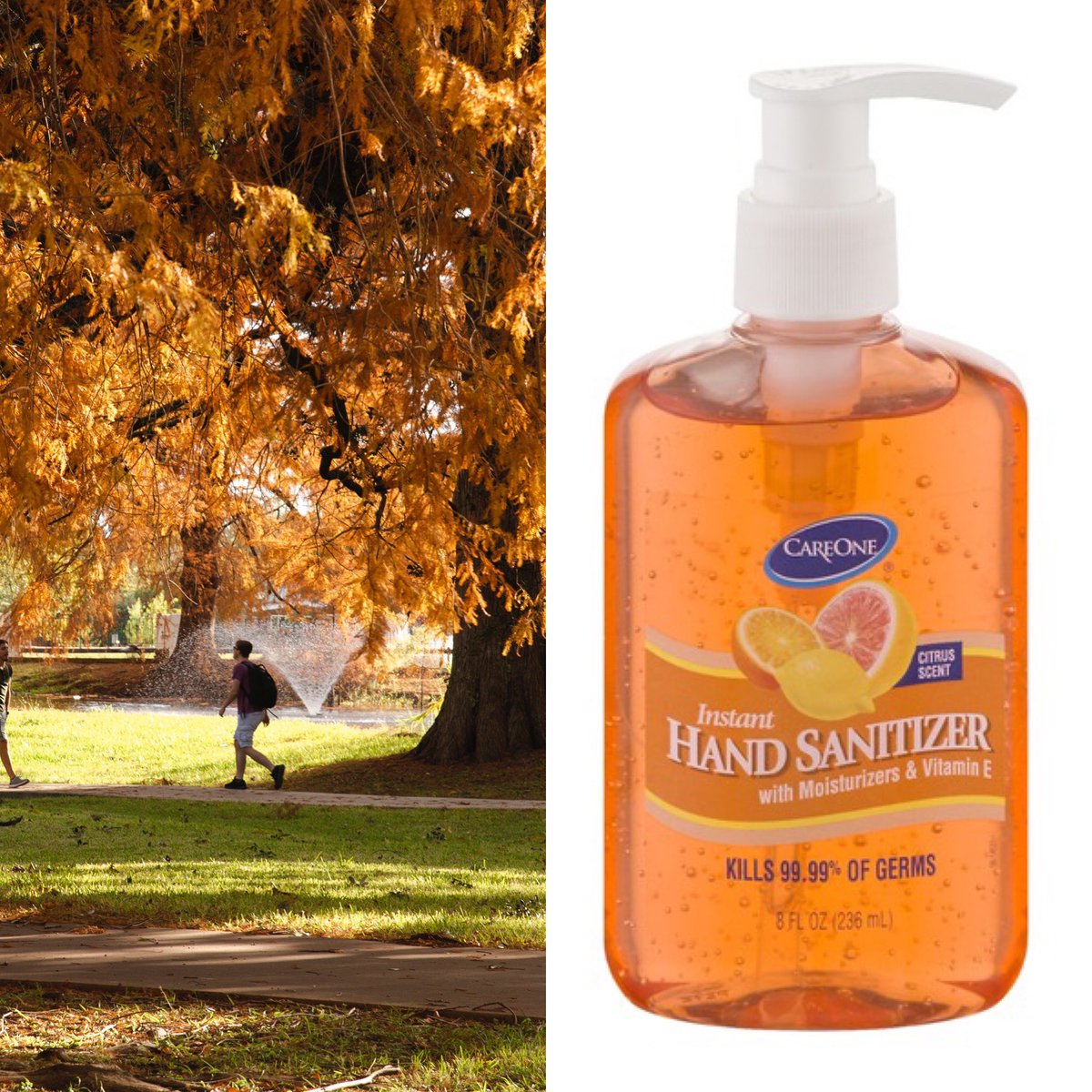 itactxst's tweet photo. TXST campus as hand sanitizer PART TWO... something you never knew you needed π #txst #campuslife #handsanitizer #colorful #txstpride https://t.co/zu5ZnJB3xP