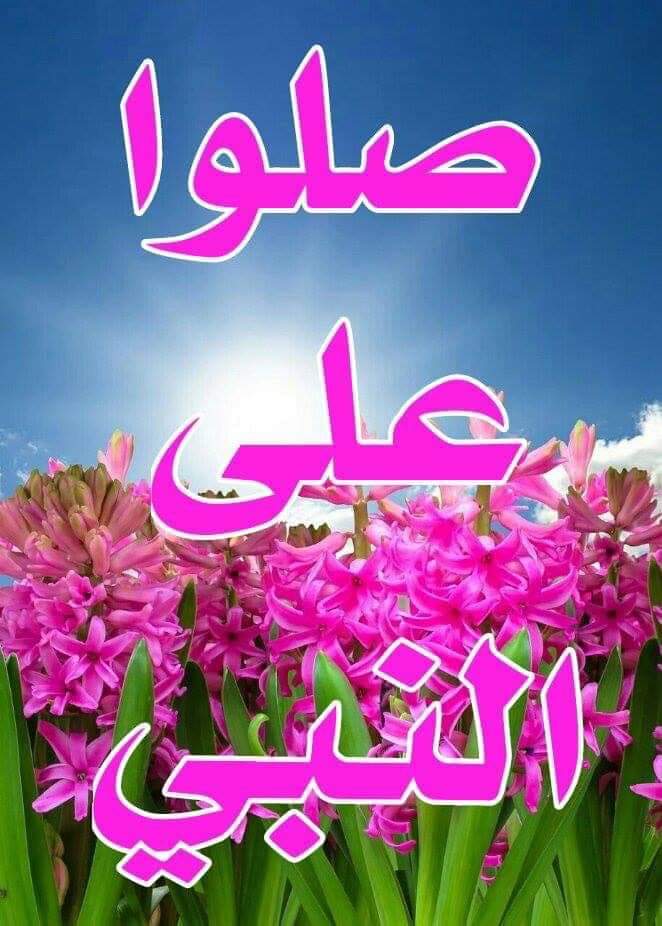 ساره (@sarasaman8) on Twitter photo 