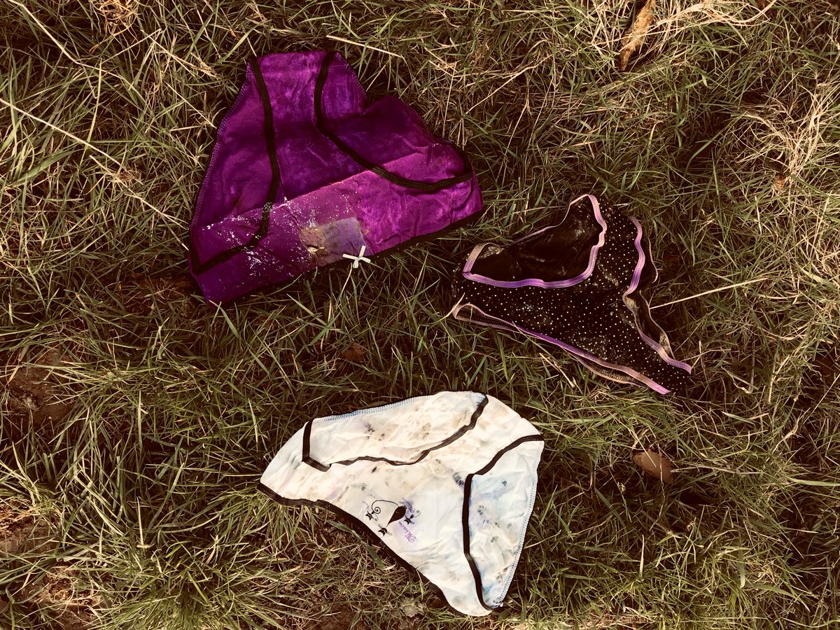 jmleluc's tweet photo. @chaineagricole @Chris_Naudin #DecouverteDuJour :
Une partouze au coin d’un de mes champs
ou
des midinettes qui n’ont pas eu le temps de finaliser le #DefiDuSlip ? https://t.co/5to2TWNt6d