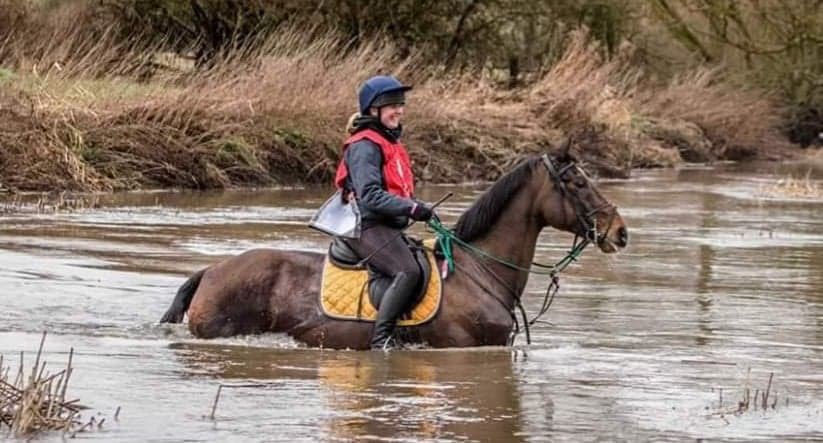 Coloured Cob Equestrian Centre tweet media