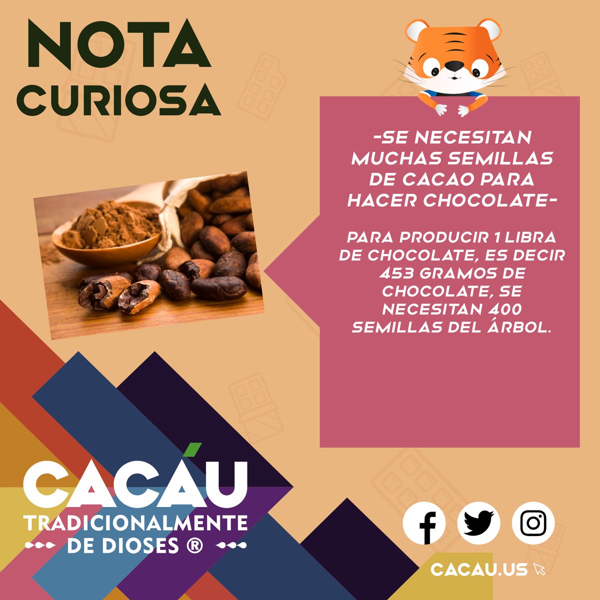 Chocolate CACÁU tweet media