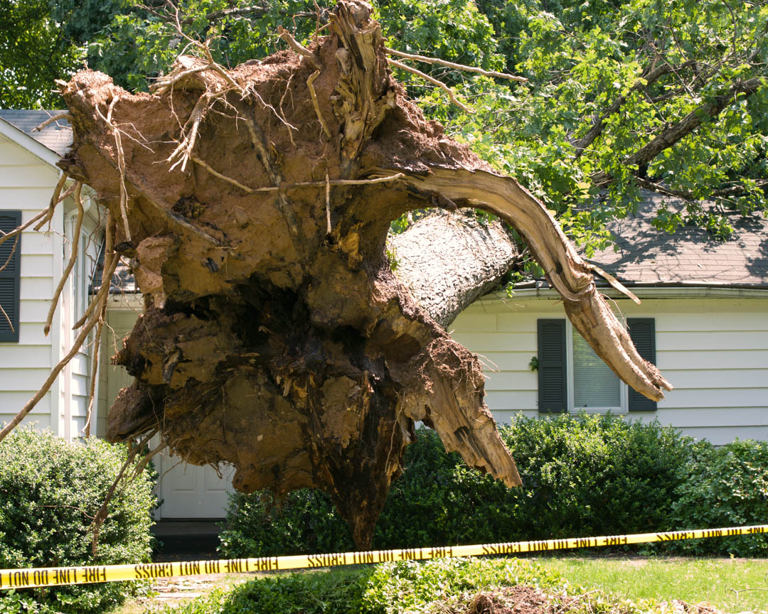 BlinnLlc's tweet image. Do you have services such as #InsuranceConsultants, #InsuranceNegotiations, #InsuranceDisputes and more that need to be completed out of Moosup, CT ? Give Us A Call at # (774) 541-2833 today! #FireDamage #WaterDamage #CommercialInsuranceNegotiations #W ... bit.ly/2VK8dtd