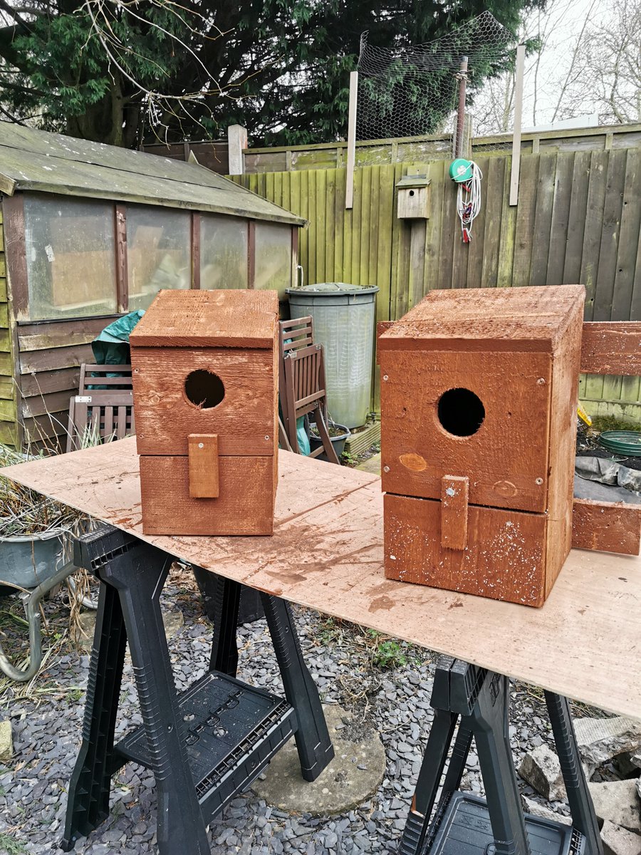 kevin whiston (@wizz15) on Twitter photo Spent the afternoon knocking up a couple of little owl boxes for the new eon meadow <a href="/ladywalk_nr/">Ladywalk NR</a> hopefully we can encourage them back now the shooters have gone <a href="/crackedbrummie/">Sam</a> <a href="/jrobbo63/">Jim Robbo</a> <a href="/WestMidBirdClub/">West Midland Bird Club</a> <a href="/sandbaggie/">LesJ</a> <a href="/RingersWm/">West Midlands Ringing Group</a> Spent the afternoon knocking up a couple of little owl boxes for the new eon meadow <a href="/ladywalk_nr/">Ladywalk NR</a> hopefully we can encourage them back now the shooters have gone <a href="/crackedbrummie/">Sam</a> <a href="/jrobbo63/">Jim Robbo</a> <a href="/WestMidBirdClub/">West Midland Bird Club</a> <a href="/sandbaggie/">LesJ</a> <a href="/RingersWm/">West Midlands Ringing Group</a>