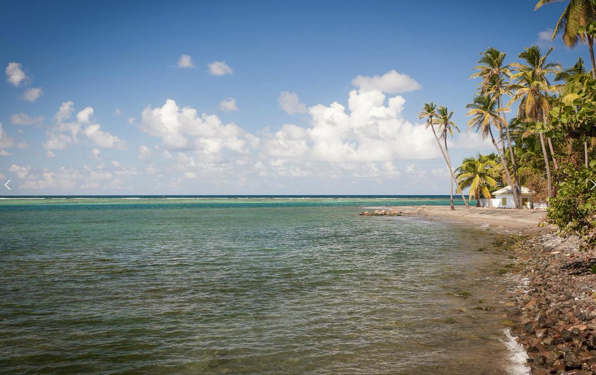 kayanjet's tweet photo. A natural beauty unlike any other 🍃⁣
⁣
Learn more about our superb luxury services and features for your travels to and from St. Kitts &amp; Nevis: https://t.co/xb7dDcJAEB⁣⁣ ⁣

#caribbean #luxurytravel #luxuryliving #luxurylifestyle #vacation #wanderlust #millionairelifestyle https://t.co/ZsARDNOiO6