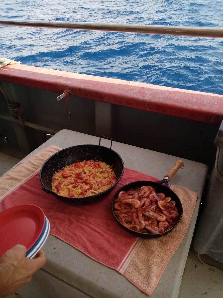 TripandFeel's tweet photo. Són dies difícils per a tots, però sabem que en un temps estarem de nou mostrant-vos en viu l'ofici més bonic del mon,la pesca i la seua gent 🐟 Recordeu consumir peix de proximitat, i davant els dubtes ací ens teniu a nosaltres i als mariners per aconsellar-vos amb la cuina! https://t.co/tt1Iadcj4v