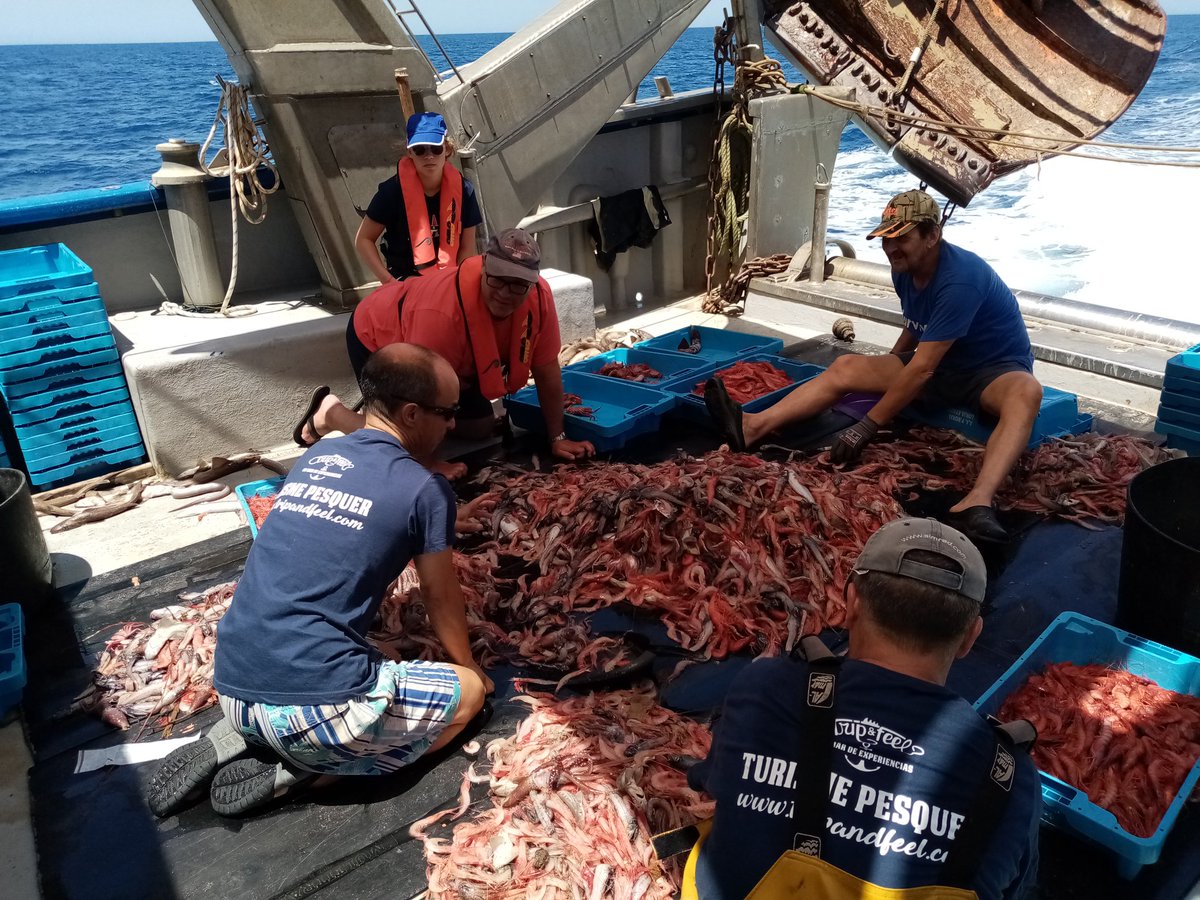 TripandFeel's tweet photo. Són dies difícils per a tots, però sabem que en un temps estarem de nou mostrant-vos en viu l'ofici més bonic del mon,la pesca i la seua gent 🐟 Recordeu consumir peix de proximitat, i davant els dubtes ací ens teniu a nosaltres i als mariners per aconsellar-vos amb la cuina! https://t.co/tt1Iadcj4v