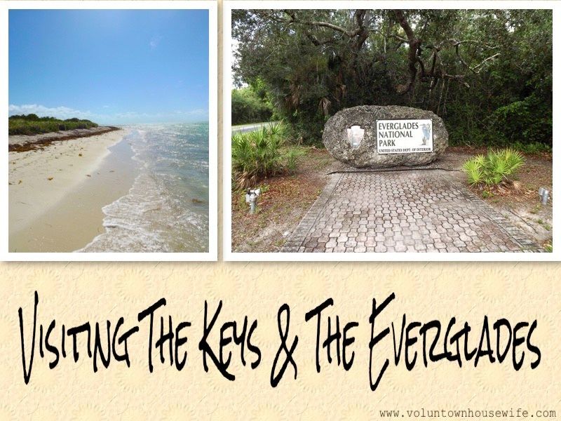 roadandtable's tweet photo. If you are looking for a some adventure and little relaxation, a trip to the Everglades for some exciting fan boat rides and gator spotting, mixed with sand between your toes and warm sunshine in the Keys is a great choice!  https://t.co/xG4RH8YKWi https://t.co/BjeThZrYPC