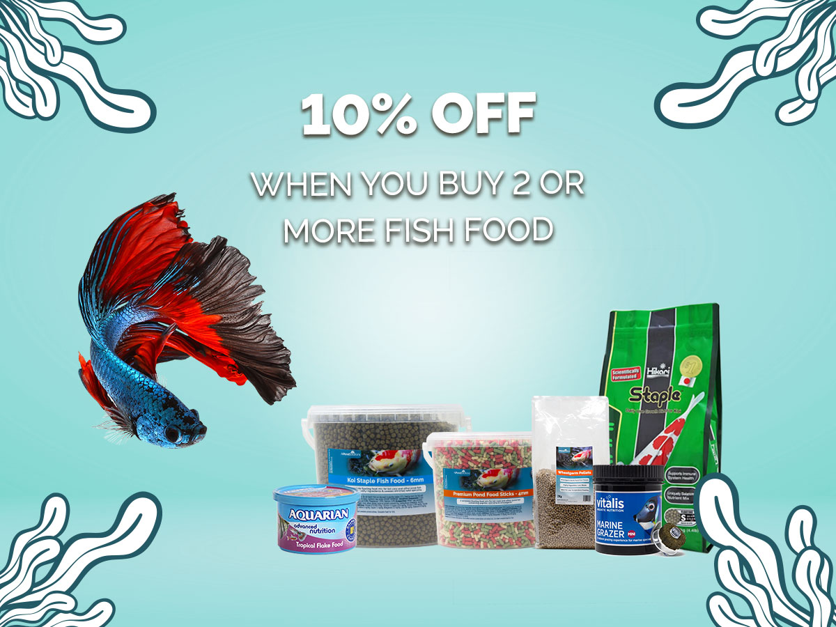 Make your fish-friends extra happy with our fin-tastic offer! Get 10% off when you buy two or more fish food. Head to our website to shop now 👉 ow.ly/70UV50yK8ce