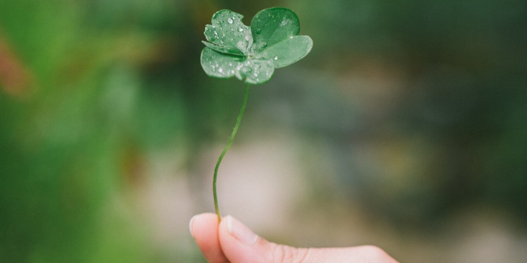 drinkplanetH2O's tweet photo. There's a lot going on in the world right now! But it's still important to find reasons to celebrate, even if it's at home. Happy St. Patrick's Day! 🍀 #stpattysday #lucky https://t.co/G8i2wXV0JN