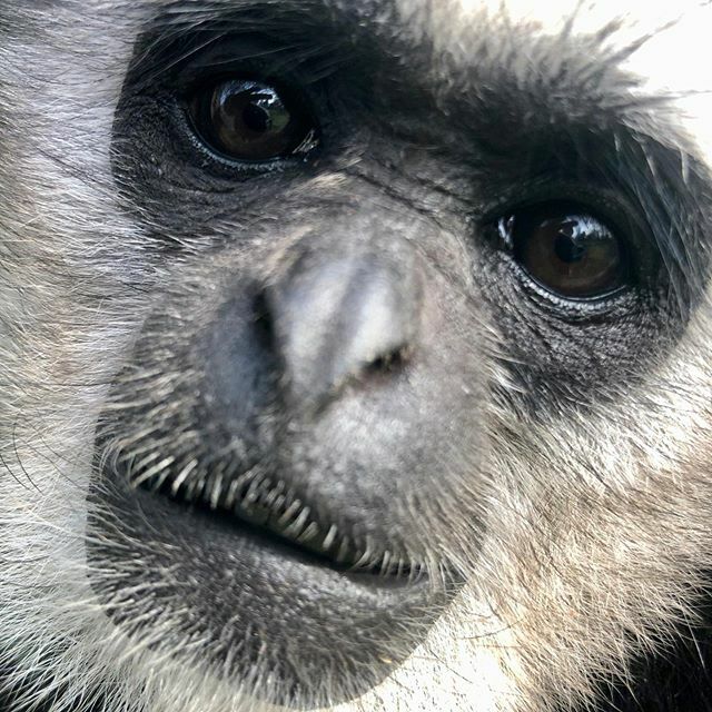 Camperdown Wildlife tweet media