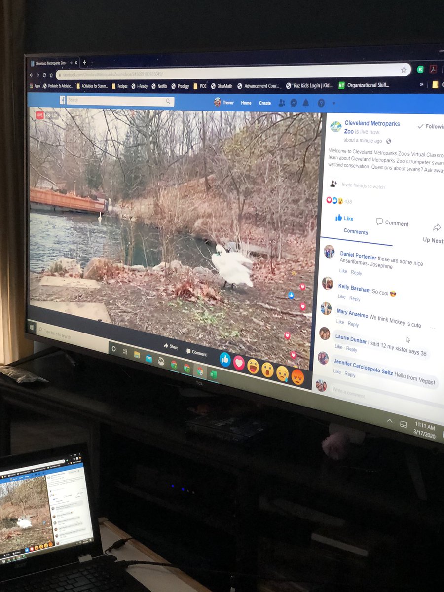 “Went to” <a href="/clemetzoo/">Cleveland Metroparks Zoo</a> this morning with my kids and learned about trumpeter swans. 3:00 visit to <a href="/CincinnatiZoo/">Cincinnati Zoo</a> here in a bit!