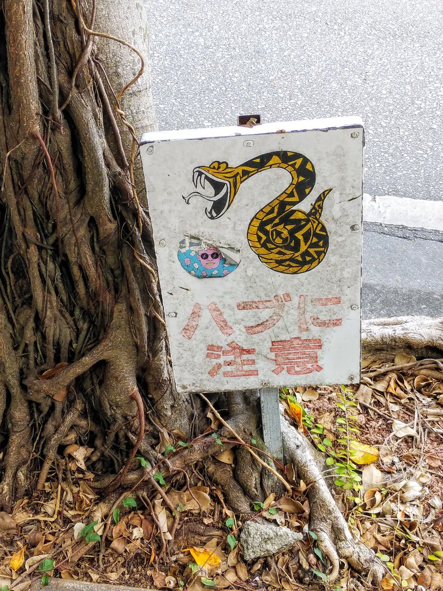 dondokoオヤジ On Twitter 沖縄県内では当たり前のように見かける ハブ注意 の看板 もはやハブは日常風景の一つなんですね ハブ注意 キケン猛毒 沖縄県那覇市 注意看板 Https T Co Od8vdeduw0 Twitter