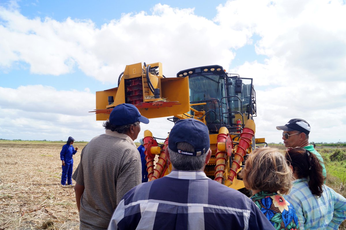 En fase de acondicionamiento se encuentra la cosechadora de cañas cubana CCA-6000 para iniciar en próximos días las pruebas de campo en las que se evaluaran parámetros esenciales que definirán su validación.  #CCA6000 #Cedema #IAGRIC