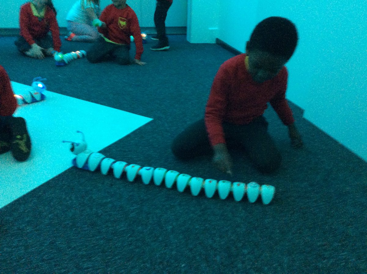 Foundation Stage at Phoenix Primary School tweet media