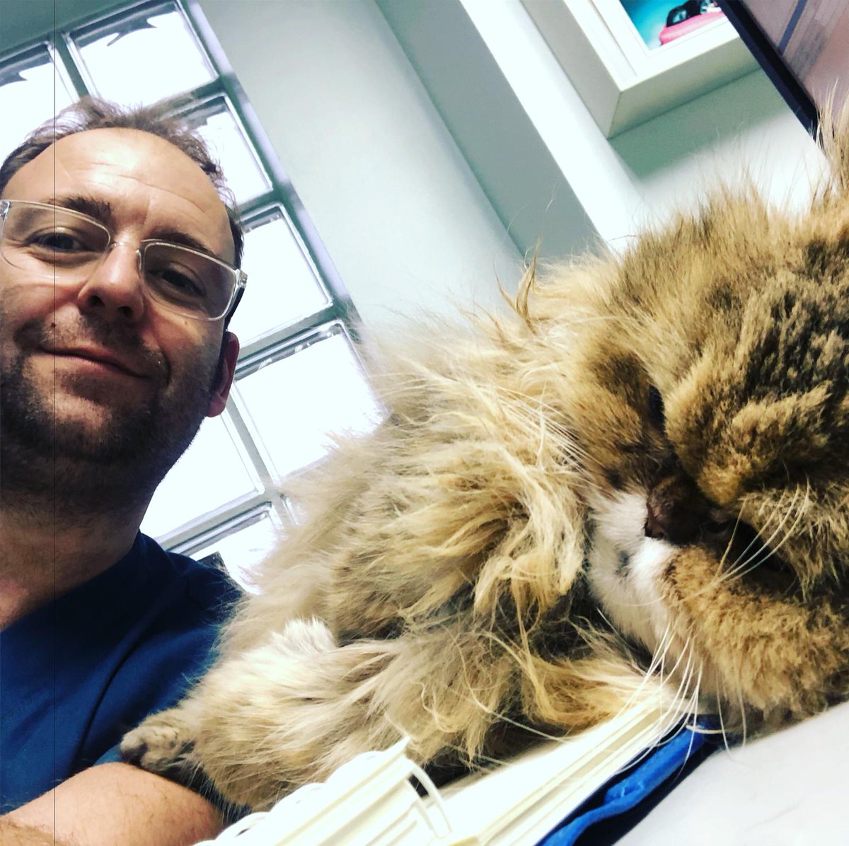VetTB's tweet photo. Equipo alerta urgencias y servicios minimos #miATV #catfirendly #catlovers #24/7 #urgenciasveterinarias #urgencias24horas #hospitalveterinario https://t.co/kiQAJpHDIK