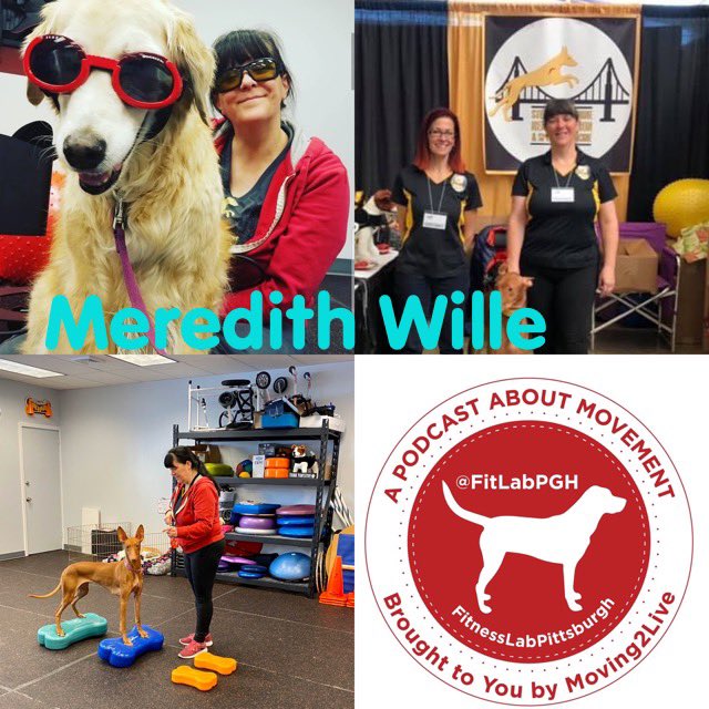 #ICYMI latest #FitLabPGH #podcast features @reutebh interviewing Meredith Wille of Steel City Canine Rehab in #Pittsburgh (link below). Meredith is Certified #CanineRehab practitioner & #CanineFitness Trainer.
#k9fitness #k9rehab #pghdogs #CanineAthlete 

bit.ly/FLP-k9Rehab
