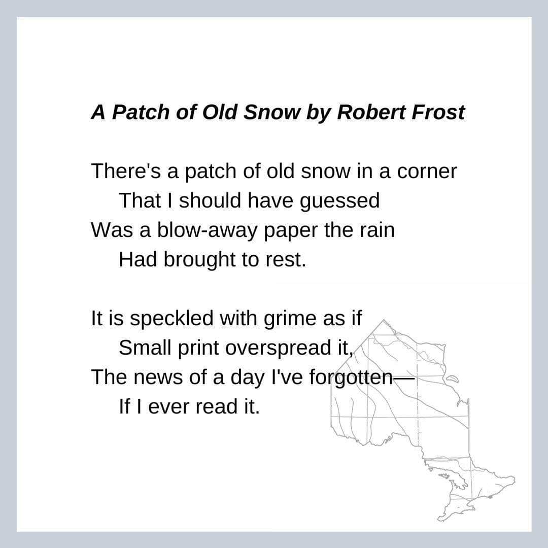 The Northern Appeal tweet media