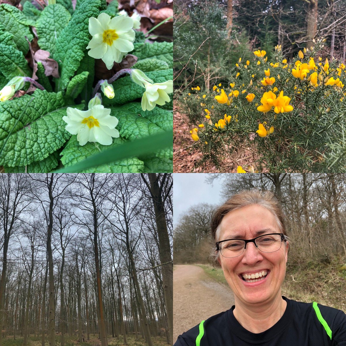 selwine's tweet photo. A few miles round the woods for @Twittachallenge #50shadesoftarmac at lunchtime today. Nice to get out & clear the head & see some signs of spring at last...#mmrrun https://t.co/ACAi36LJFS