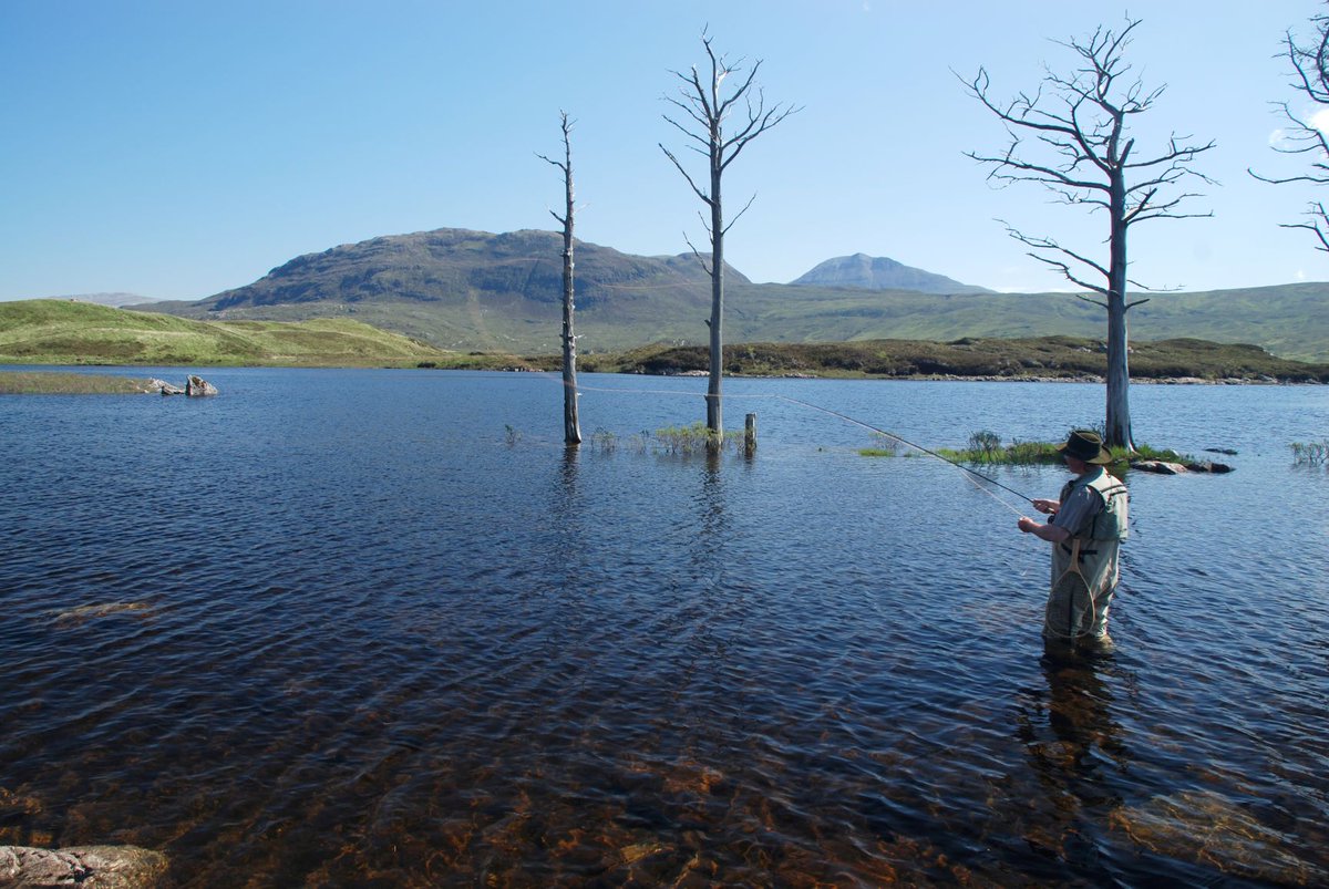 SCSTG's tweet photo. Trout fishing in Scotland .... peace, tranquillity and solitude in these uncertain times #YOCW2020
https://t.co/z2vAdIKN84 https://t.co/guBkGELjxT