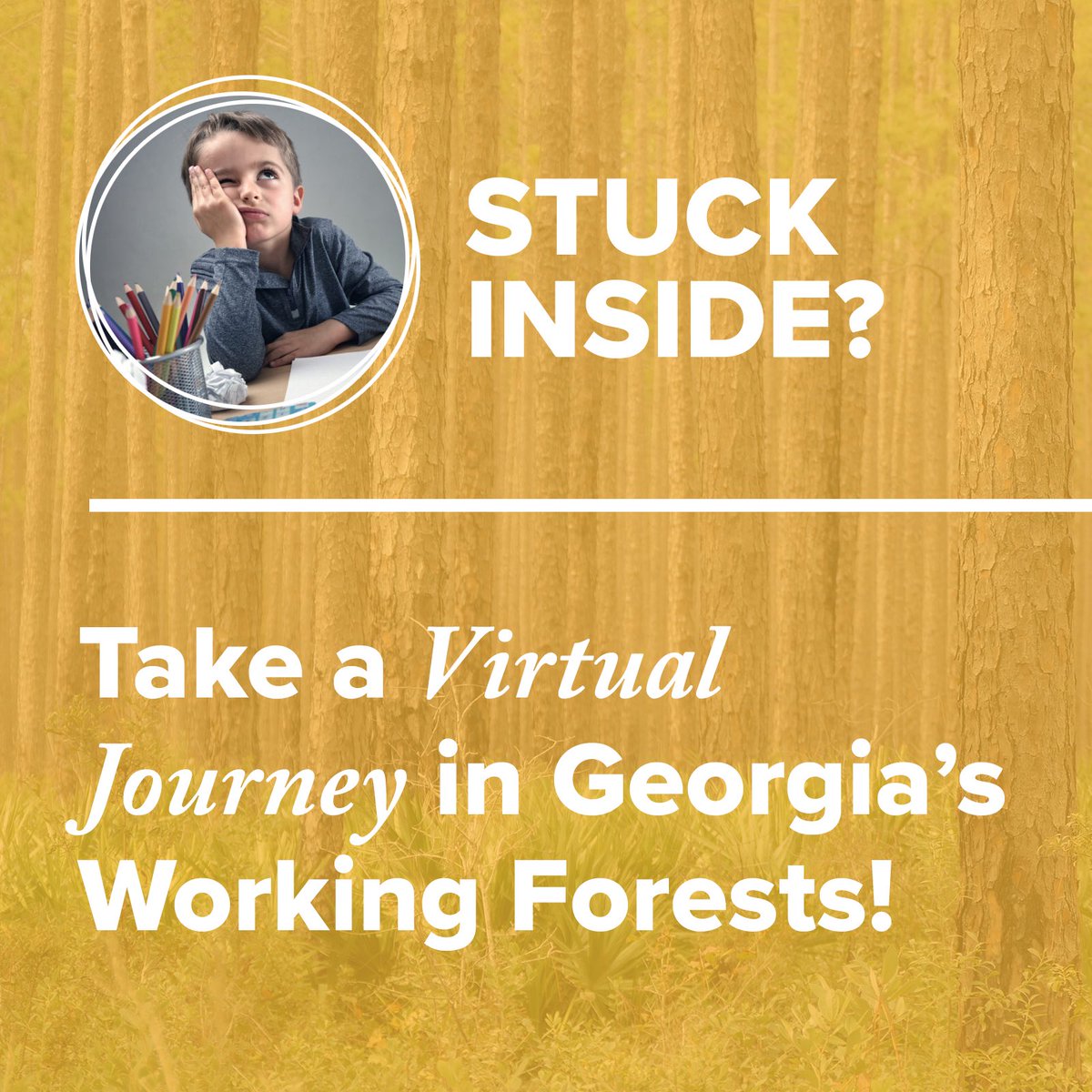 GaForestryFdn's tweet photo. Stuck inside? Check out our cool online learning tools with @GPBEducation! This tool is 100% interactive and includes maps, graphics, and VR videos! Check it out today at https://t.co/vsp6Ew1WMf https://t.co/iCBMFwriMw