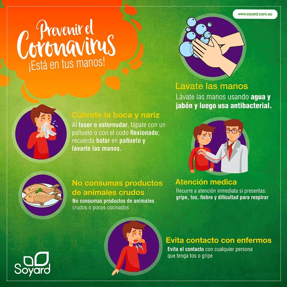 SoyardEcu's tweet photo. Prevenir el coronavirus esta en tus manos. 
#QuedateEnCasa 
#TuVidaEnBalance💚 https://t.co/1cHMRHet1a