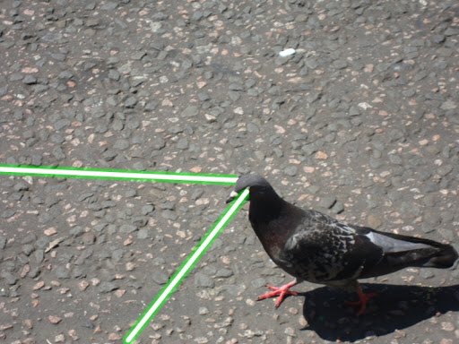 PigeonJon's tweet photo. DAY 4 SELF ISOLATION:
Turns out watching too much Porn means you could start shooting Laser Beams from your EYES. https://t.co/RzU1aPLjpS