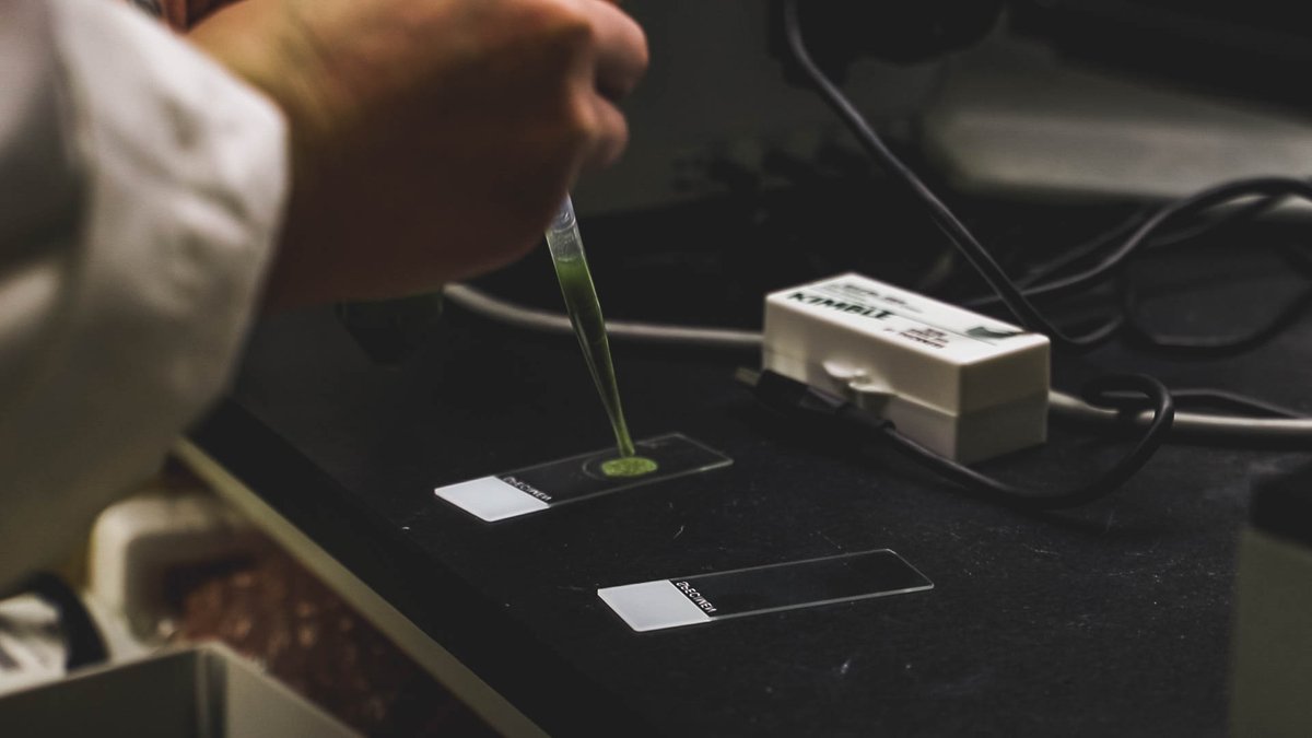 certcan's tweet image. Our extraction methods for sample prep are just some of the techniques we’ve been perfecting. Here, we are analyzing particle size to ensure the best homogenization techniques. #science #analyticalchemistry #cannabistesting