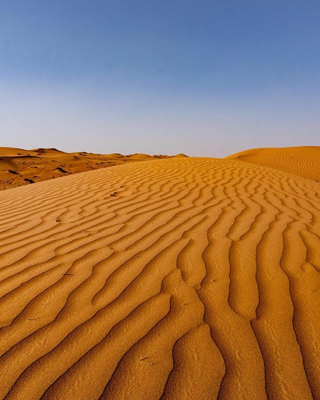 carnetsdeyann's tweet photo. How the streets in France feel today... 💨😒 #desertstreetscene #thedayafter #quarantine #fightthevirus 💪🏻
.
.
.
#latergram #travelgram #oman #muscat #mascate #loves_oman #ig_oman #omantravel #travelblogger #desert #dune #sand #sands #wahibasands #blue… https://t.co/X9cxIgVcCA https://t.co/uHzw5NmnUu