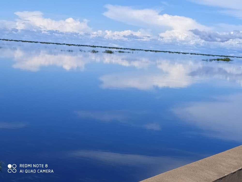NChilangwa's tweet photo. THE BANGWEULU WETLANDS LADIES AND GENTLEMEN! 

This is LUAPULA, Welcome to your Province! 

Let me share with you the high water levels in the Bangweulu wetlands, images from Tuta road and Tuta bridge! It is all one bag lake.

I took these pictures on my way to Lusaka. Enjoy https://t.co/SNnoUIvTRg