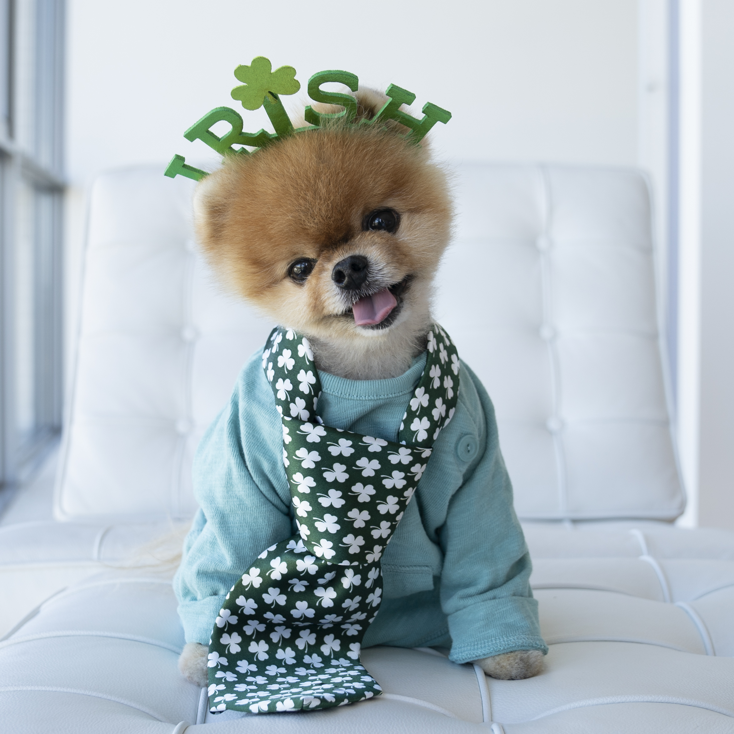 jiffpom jiffpom X