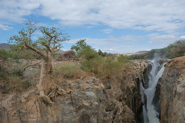 kingjimZA's tweet photo. Epupa Falls on the Kunene River, way at the top of Namibia (bordering Angola). #Namibia #ThisIsNamibia #MeetNamibia #InstaMeetNamibia

#FamilyTravel #HolidaysWithKids 
#TravelDeeper #TravelUnplugged #TravelHappy #Travel #Adventure #LuxuryTravel

#fujifilm #fujilove #xt30 #fu… https://t.co/aoDEe1oLLy