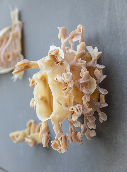 Today we’re beginning a series of articles on our work with Clay Exchange, an exploration of how china clay can connect us to other people and places, now and in the future. whitegold.org.uk/brickfield/ @__brickfield__
@british_ceramics_biennial