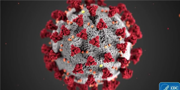 Escape Frenzy response to COVID-19 dlvr.it/RS47Rv