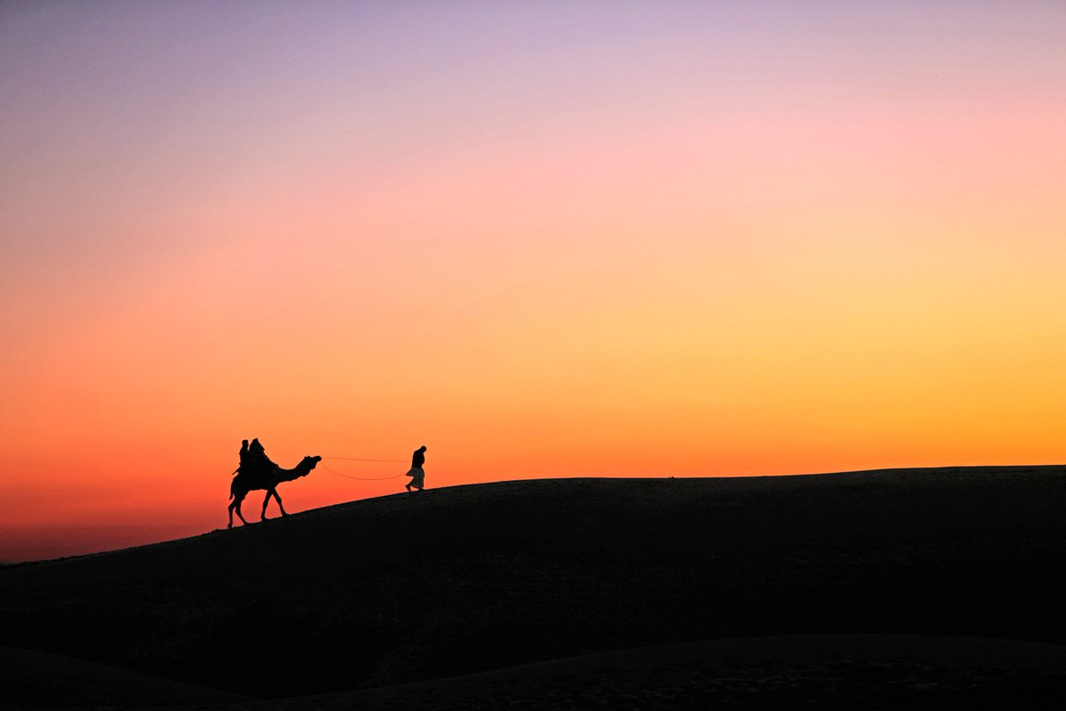 Saumitr00161134's tweet image. A journey to discover magnificent Indian Wildlife. #Fun2020 #livefree #desertship #Sunset #landscape #scenery