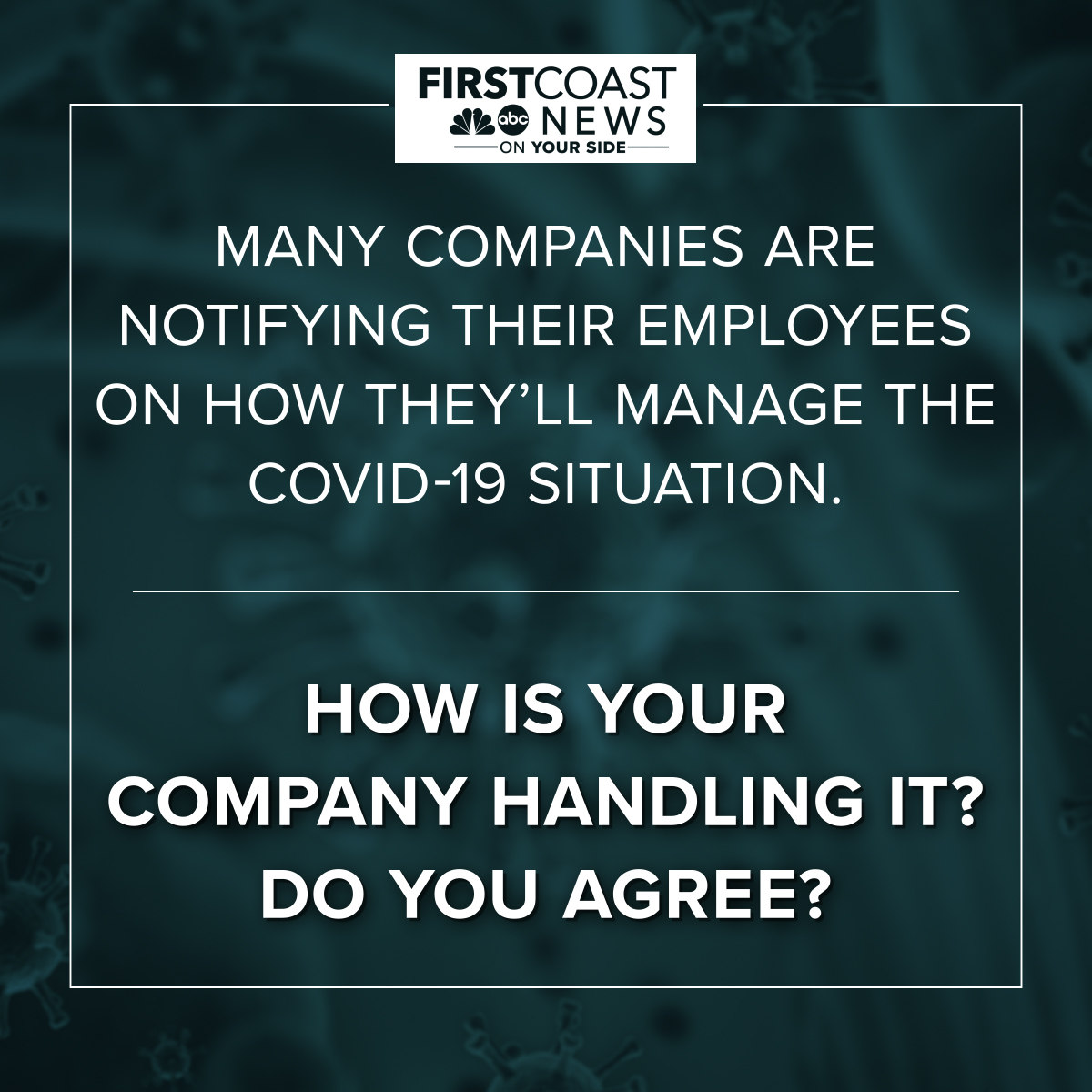 First Coast News tweet media