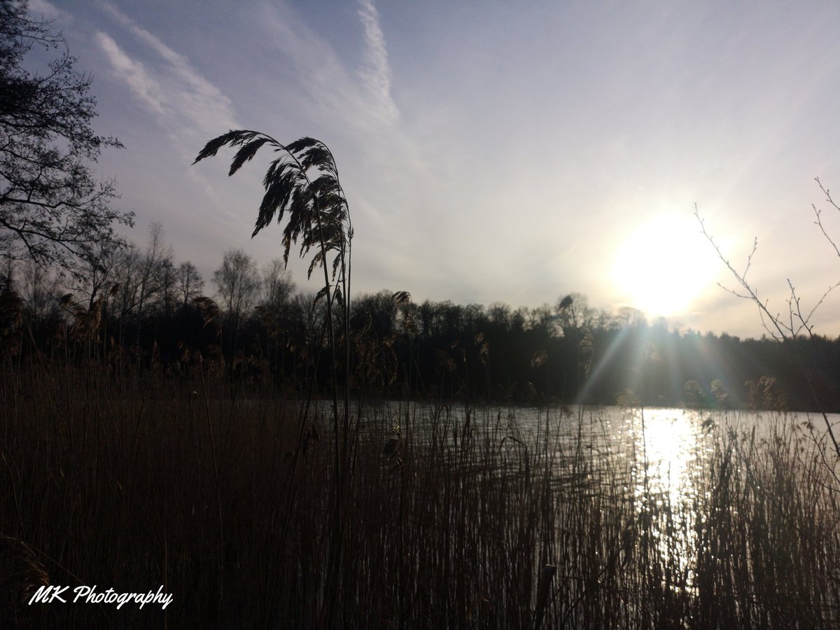 📷📱
#Captured by me 
🌾☀️
#natgeowild #natgeo #natgeohub #natgeowildlife #natgeopl #natgeowild_hd #natgeoru #natgeopix #wildlifeperfection
#hubs_united #jaw_dropping_shotz #worldshotz #theworldshotz #pixel_ig #photographyislifee #photographyislife 
@salovesunsets