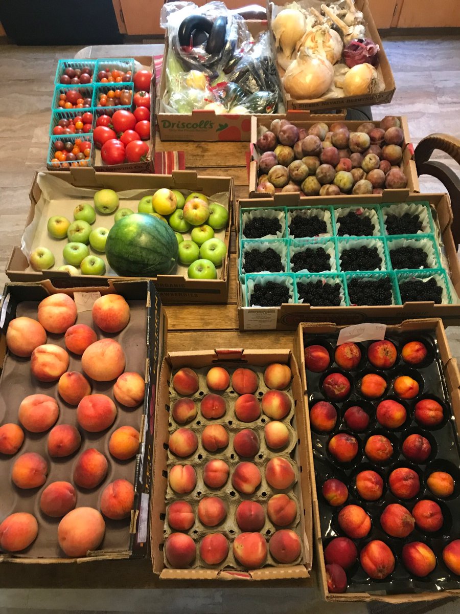 sunstretch's tweet photo. I gave most profits from my small, #organic #familyfarm to @BernieSanders this year. And I’d do it over & over again. More than anything, I want #PresidentSanders elected. With his wise & compassionate leadership, America would benefit in countless ways! #FarmersForBernie #M4All https://t.co/6X1ayGu44s