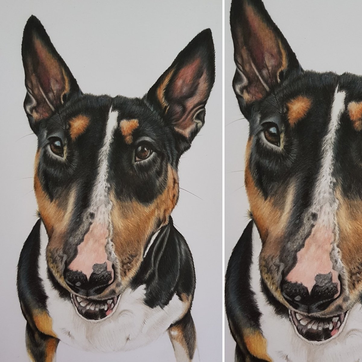 Some recent commissions...

#petportraits #art #drawing #fabercastell