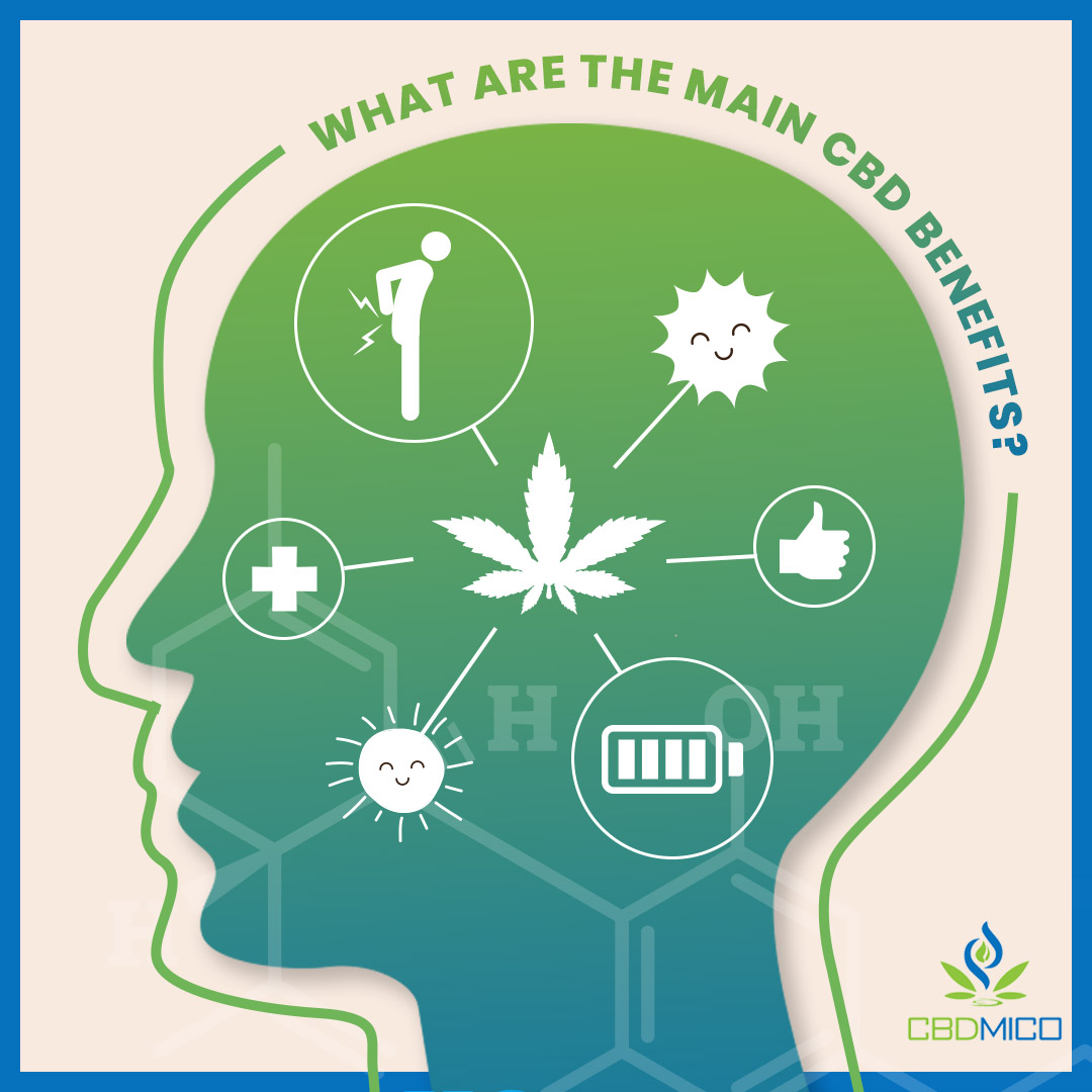 cbdmico's tweet photo. While CBD is loved for its versatility, it is known to have the following main benefits: 
🌿Stress reduction
🌿Pain relief
🌿Enhanced mood
🌿Overall wellness
🌿&amp; Much more! https://t.co/ez81yeNvNo