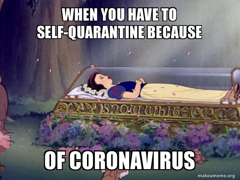 How is everyone else getting through the social distancing and quarantines and lockdowns and battles for toilet paper?
 #coronavirus #selfquarantine #lockdown #disney #COVID2019 #CoronavirusOutbreak