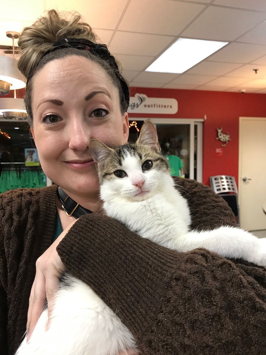 WaysideWaifs's tweet photo. Despite being closed to the public Wayside will resume adopting animals through an Appointment-only process starting tomorrow. Visit our website or Facebook page for more information! #adopt #WaysideWaifs #takemehome https://t.co/uhfW6K7JTG