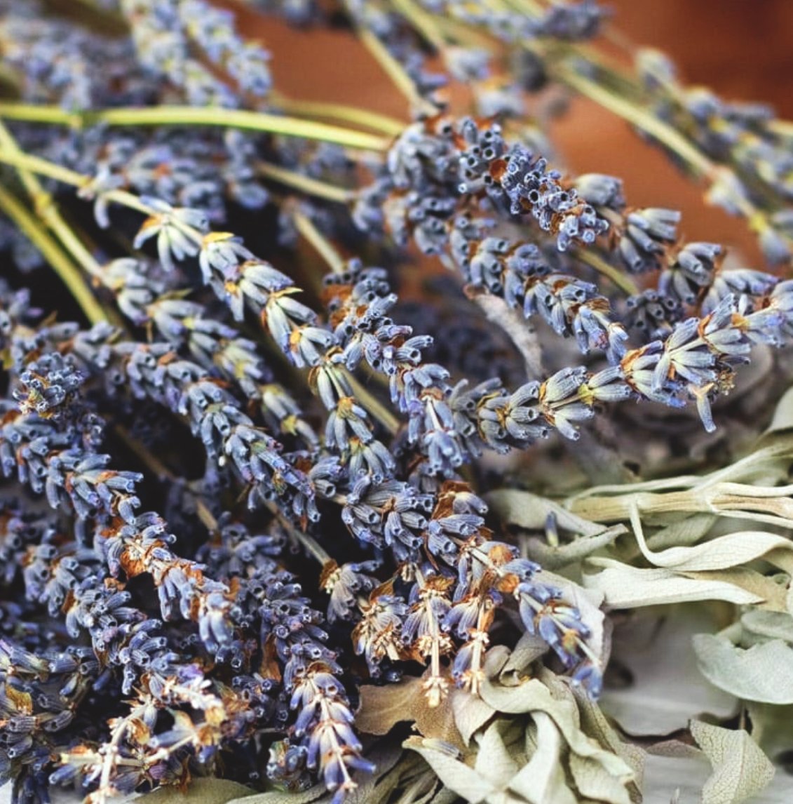 #TeachingTuesday - Dry Brushing

Lavender oil is not only calming, but a great choice to use with dry brushing, because it can boost new cell growth - making it a rejuvenating option for cellulite. Carrie Founder MEE